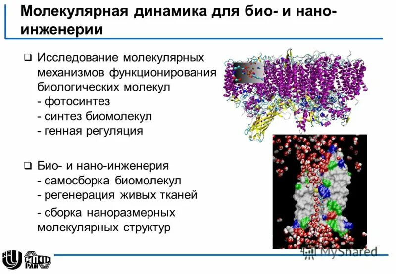 Функции биологических молекул