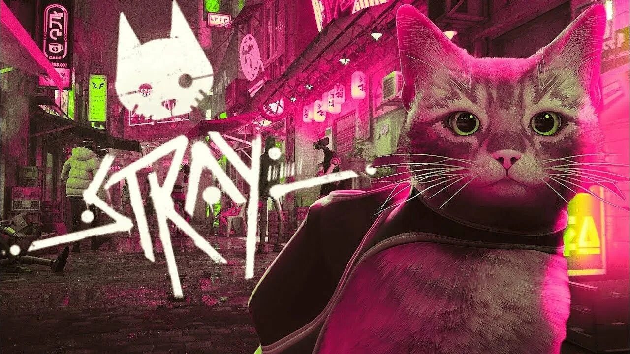 Stray игра 2022. Stray кошачий симулятор. Stray игра про кота. Кот киберпанк. Кот дремот фото из игры