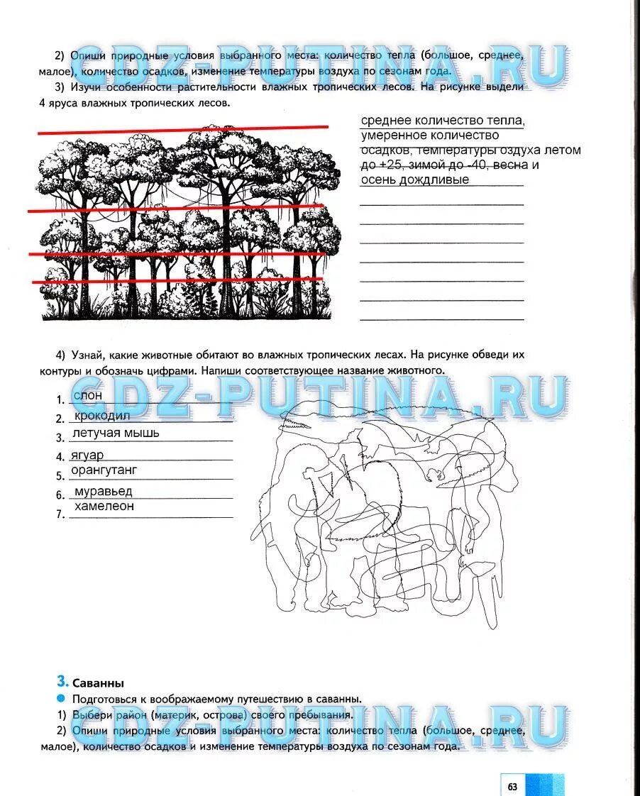 Задания по рабочей тетради по географии 5 класс Летягин. География 5 класс рабочая тетрадь ответы Летягин.