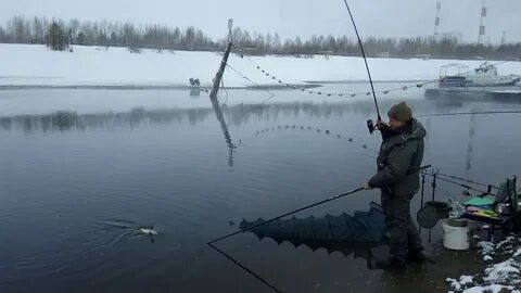 Ловлю на фидер видео