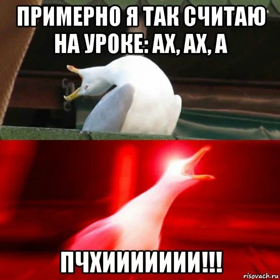 Чайка Мем. Ах Ах ахх. Ах глубже. Ммммм Ах.