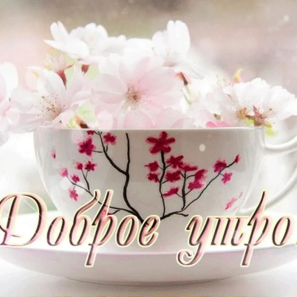 Доброе утро картинки новые очень красивые весенние. Доброе утро картинки новые очень красивые весенние