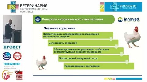 Апк 2024