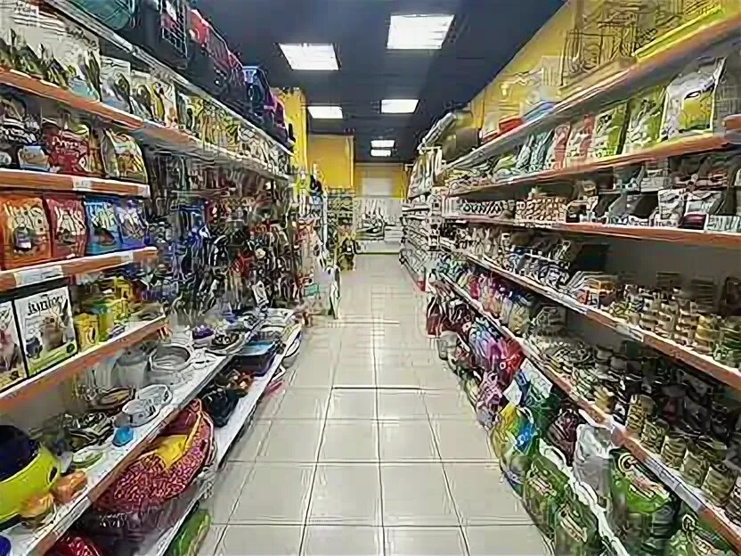 В зоомагазине было 5
