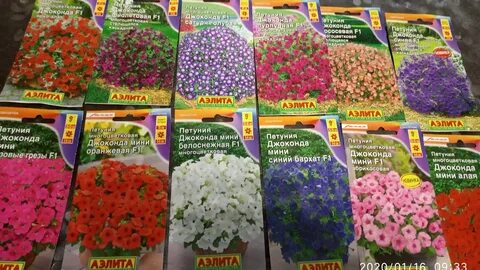 Джоконда розовая