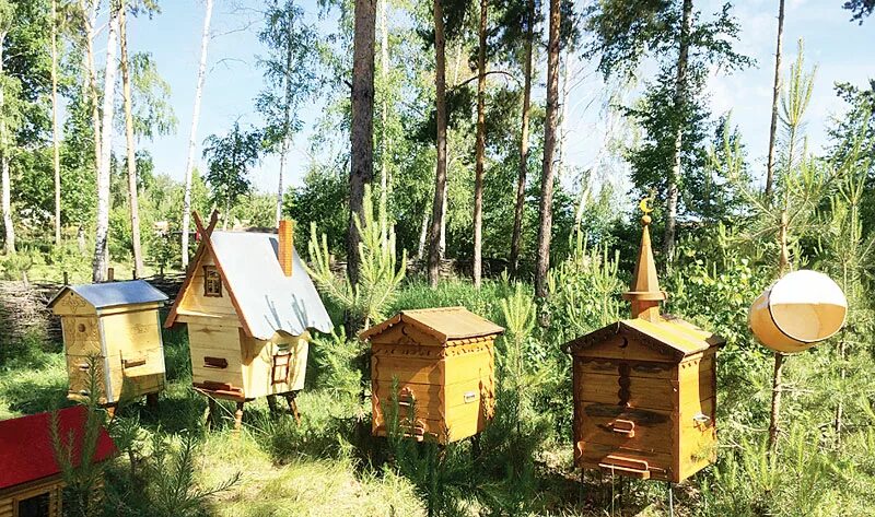 улей kovan. пасека в сибири. кочевая пасека веретенова челябинск. в. условие задачи с двух ульев получили.