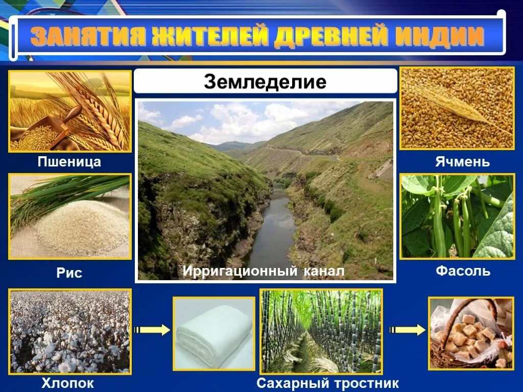 Развитие земледелия на берегах ганга какая страна. Главные занятия в древней Индии. Занятия населения древней Индии. Земледелие в древней Индии 5 класс. Занятия жителей древней Индии.