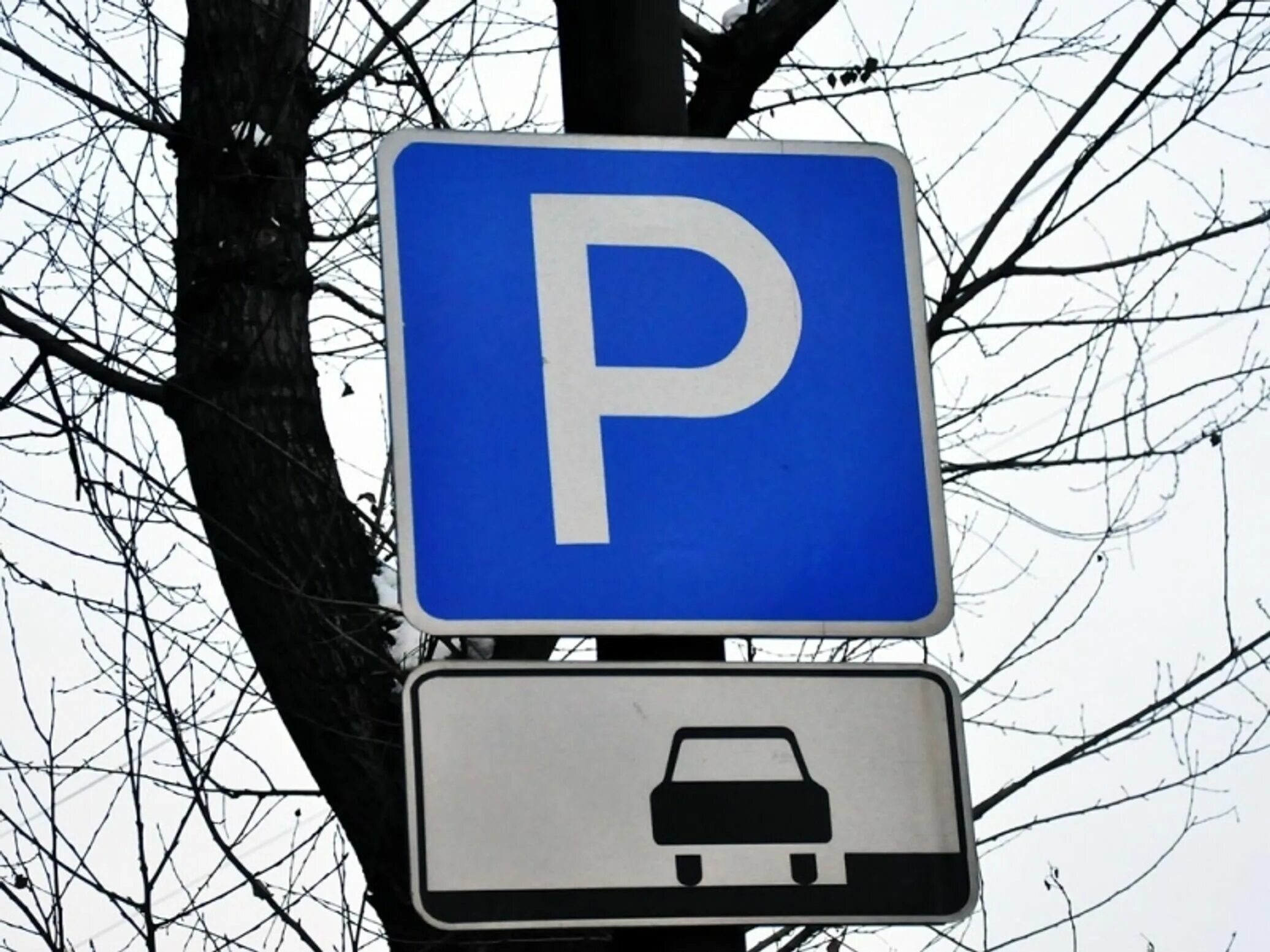 Знаки парковки в москве. Бесплатная парковка. Табличка платная парковка. Табличка платная парковка. Парковочное пространство.