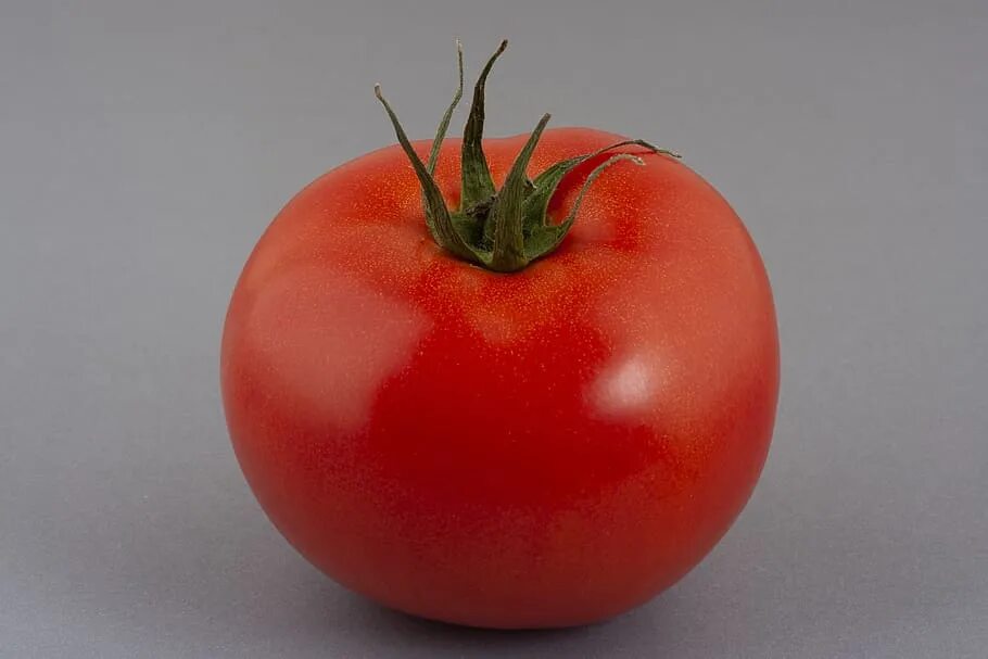 Tomato red. Томат Экватор f1. Томат Хаят f1. Томат обыкновенный. Красный помидор.