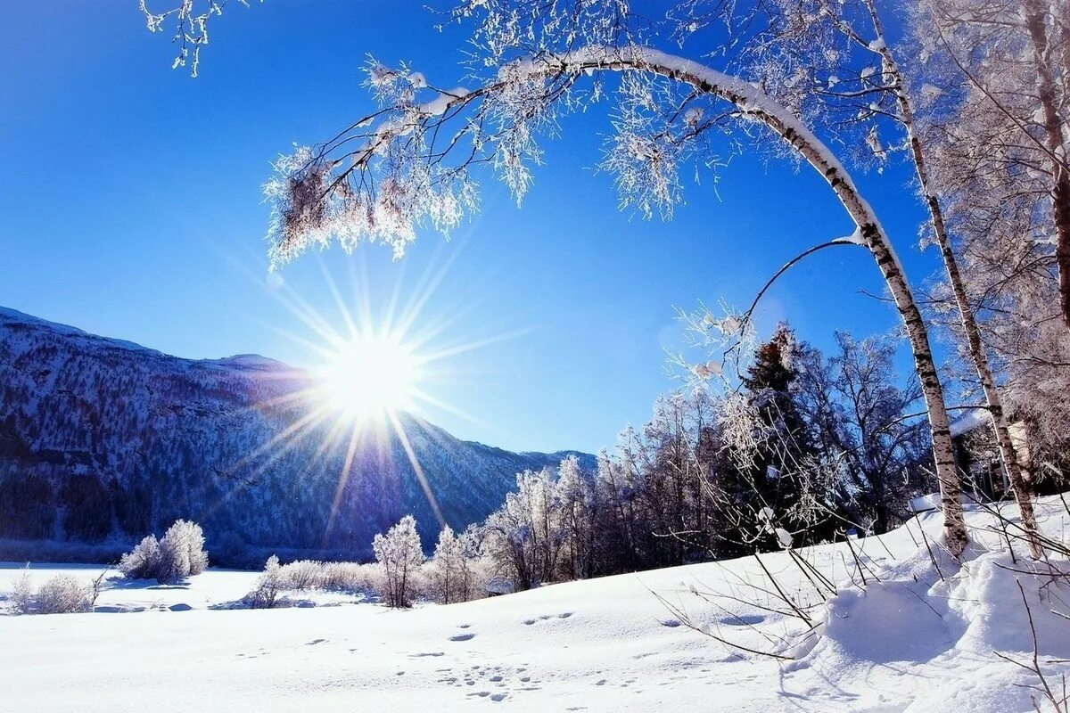 Потепление в январе. Зима солнце. Зимняя природа. Красивая зима. Зимнее утро.