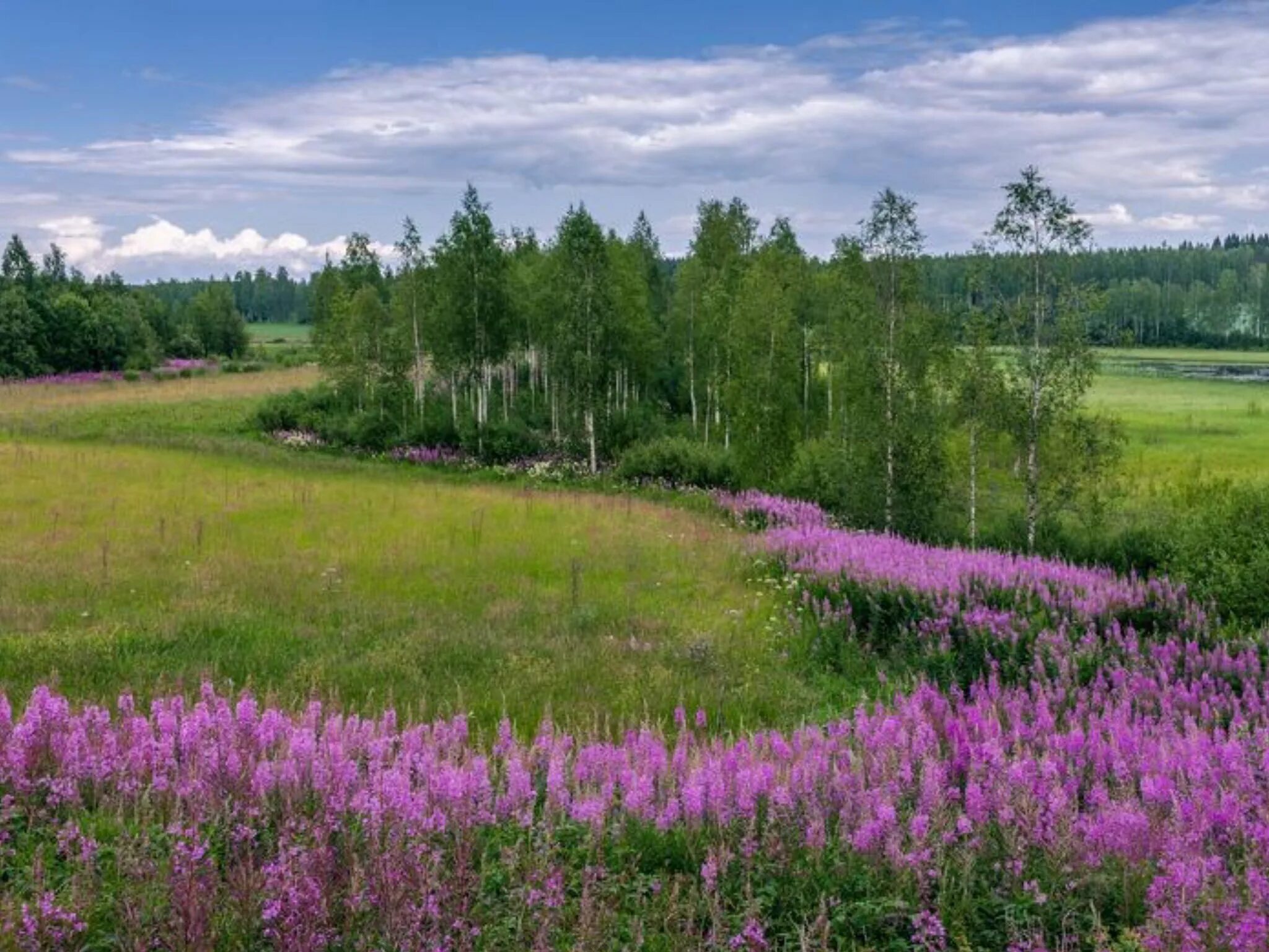 Луга залитые водой