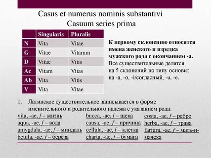 Анализ латинский