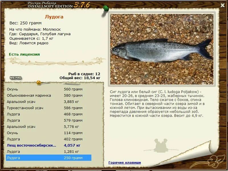 Русская рыбалка 3 Инсталлсофт. Сельдь вес рыбы. Русская рыбалка Installsoft Edition 3.1. Сиг лудога. Русская рыбалка ладога