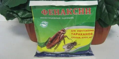 Порошок от тараканов в квартире