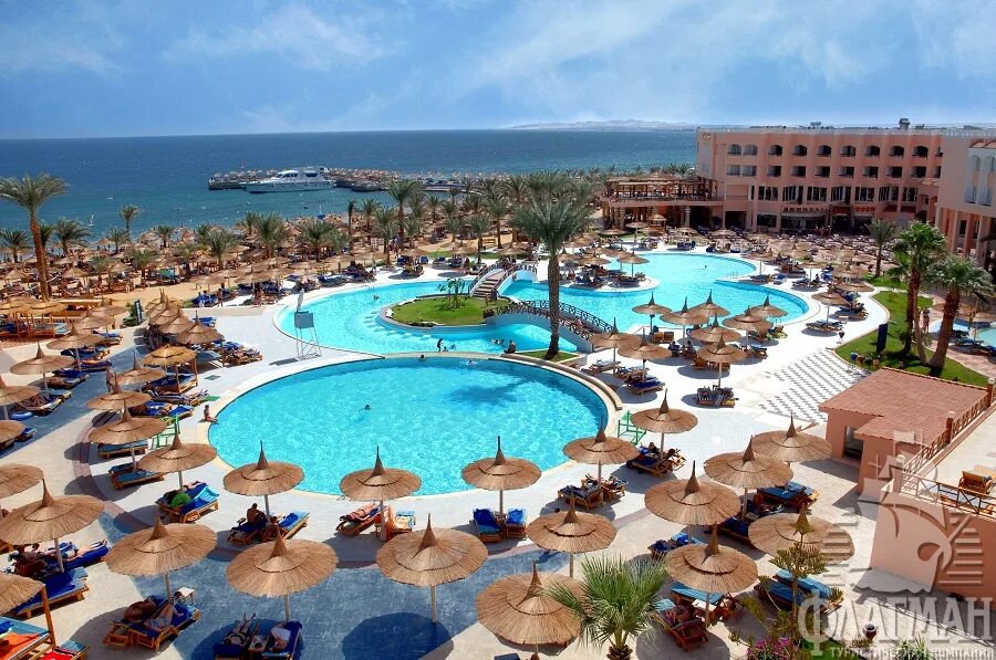 Отель Beach Albatros Resort Hurghada. Бич Альбатрос Резорт Хургада 4. Отель Альбатрос Египет Хургада 4. Отель в Египте Альбатрос Бич.