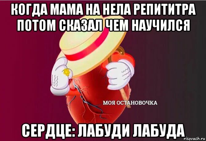 Лабуди лабудай. Моя остановочка мем. сердце моя остановочка. мем лабуди лабудай.