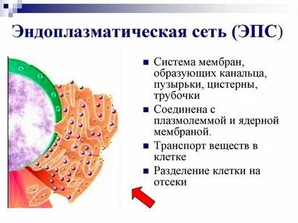 Система мембран