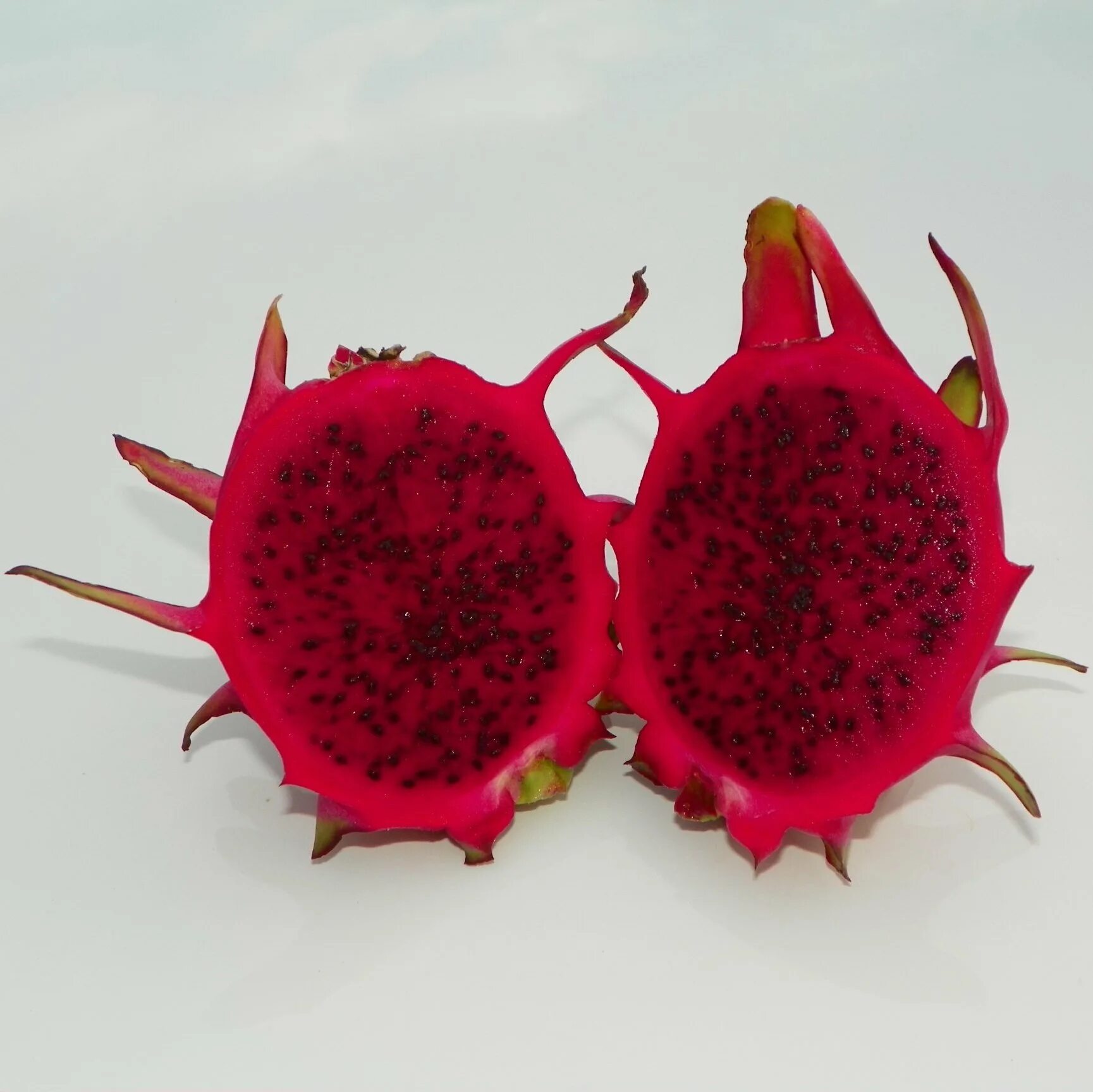 питахайя драконий фрукт. питахайя или «драконий глаз». питайя питахайя драгонфрут. питахайя белая. питахайя белая.