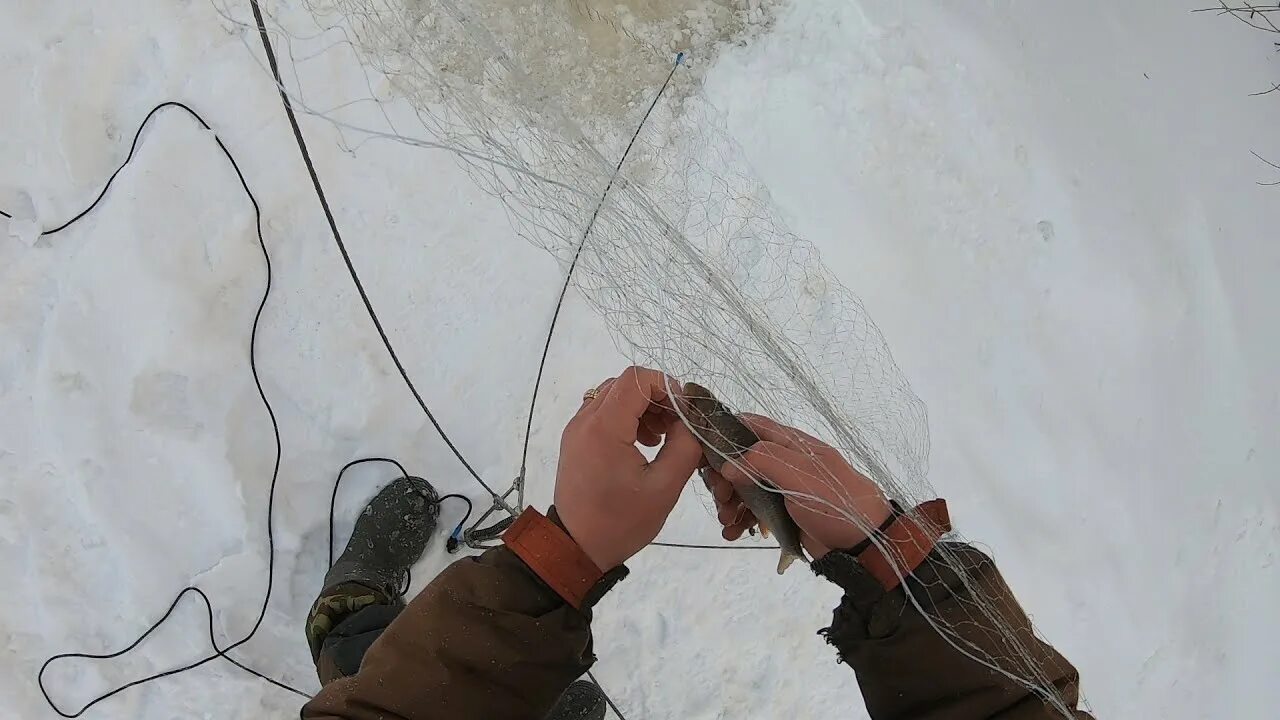 Ловля на хапугу видео. Рыболовная снасть хапуга. Хапуга для зимней рыбалки. Снасть хапуга для зимней рыбалки. Паук для зимней рыбалки.