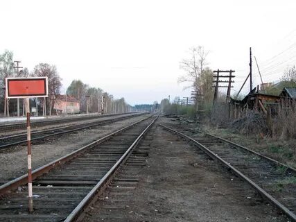 Земцы
