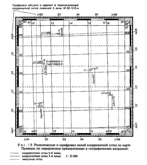 Линии сетки карты