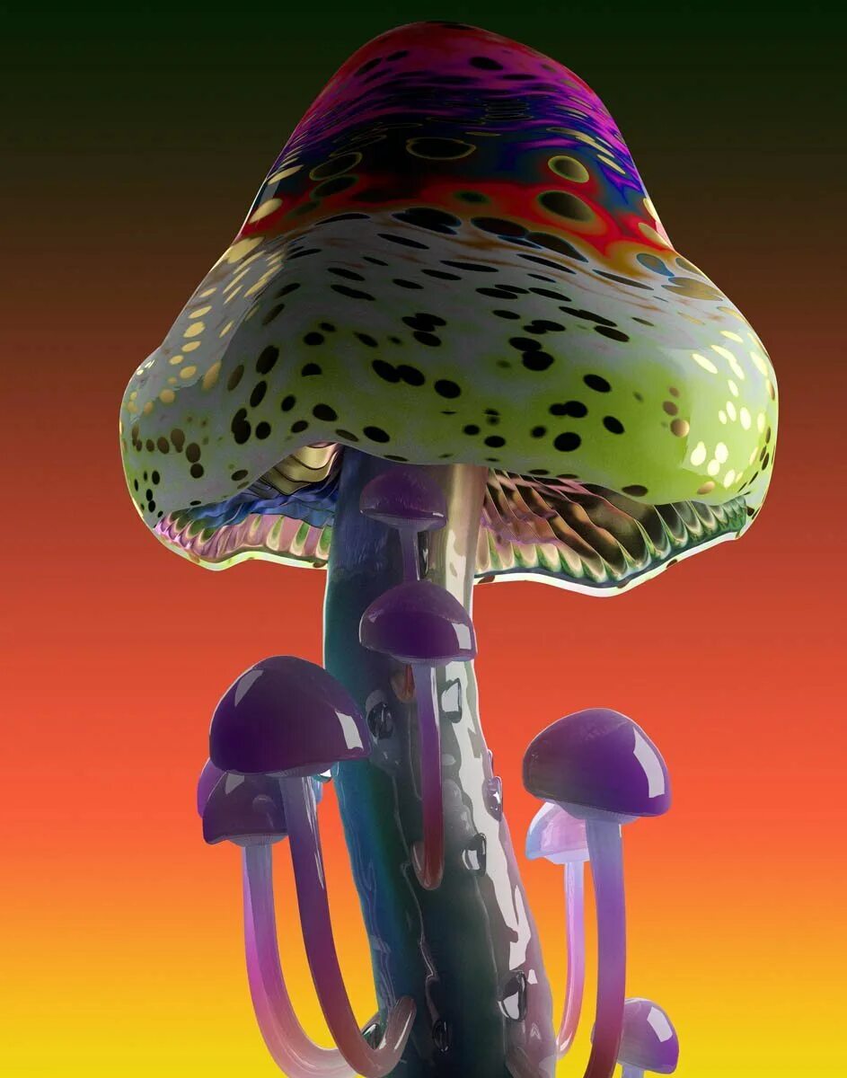 Принт грибы. Трип грибы псилоцибы. Mushroom oasis вики. Мухомор пантерный. Mushroom oasis игра.