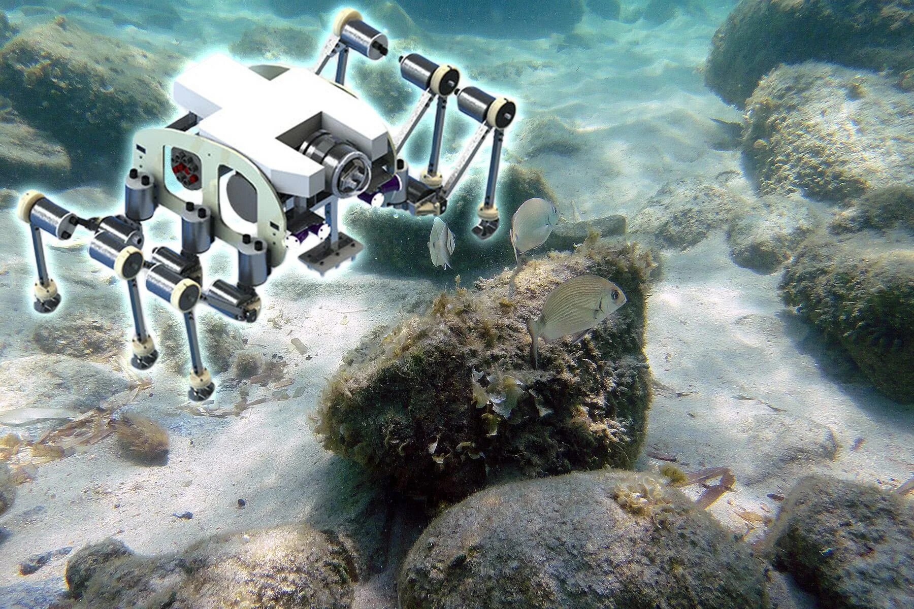 Модуль погружения краба. Silver 2 робот краб. Робот краб 36408. Подводные роботы. Подводный робот краб.