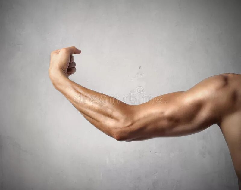 Накаченные руки. Накаченные руки. Спорт армрестлинг. Накаченная рука прямая. Бодибилдер.