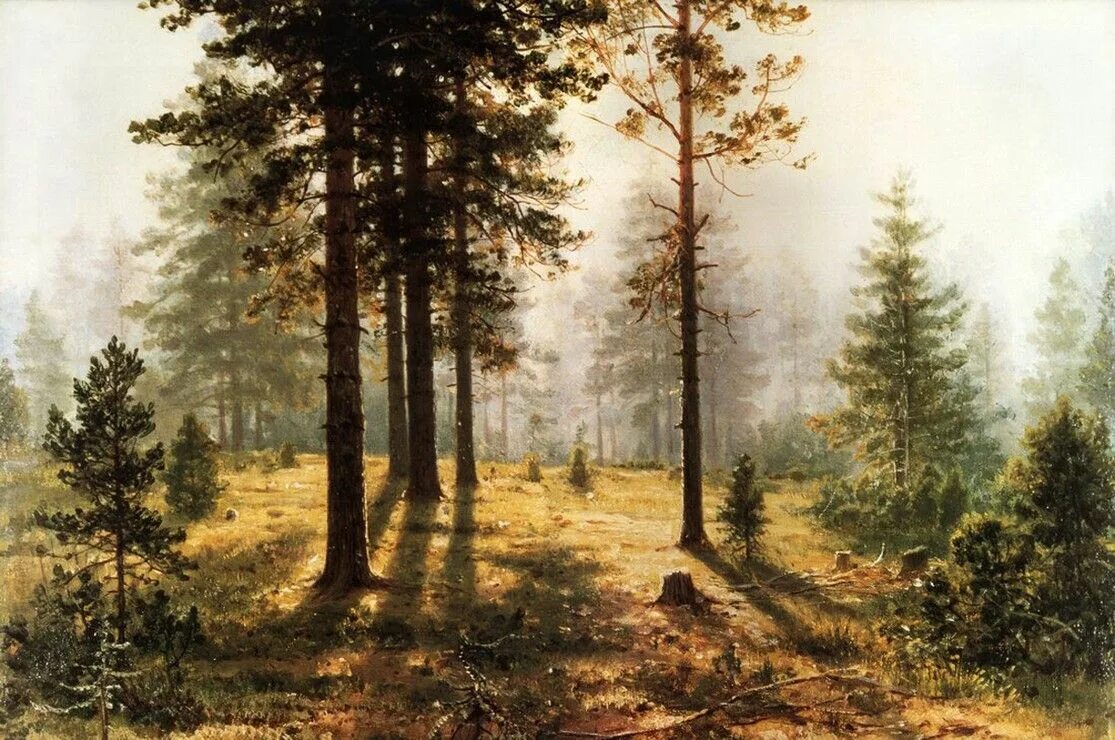 На картине изображен лес. Шишкин Иван Иванович (1832-1898). Шишкин Иван Иванович Корабельная роща. Лесной пейзаж Шишкин 1832-1898. Шишкин Иван Иванович Сосновый лес 1885.