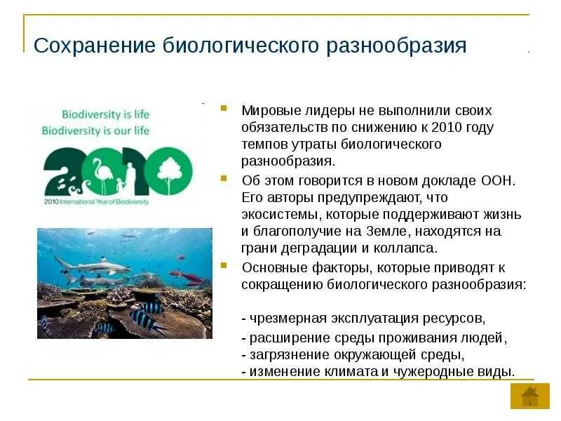 Основной причиной утраты биологического разнообразия могут быть. Сохранение биологического разнообразия. причины сохранения биоразнообразия. сохранение биоразнообразия. сохранение видового разнообразия.