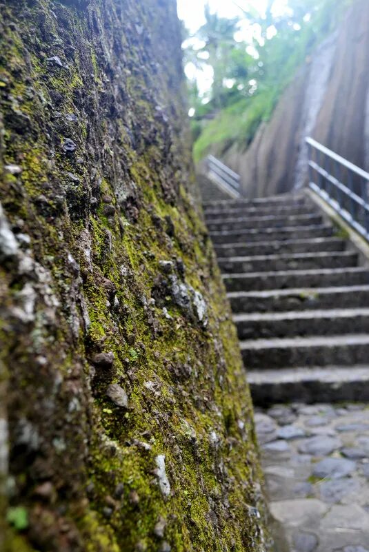 декоративная крышка для септика. камни калланиш остров льюис шотландия. менгиры ирландия. идолы острова пасхи. вековые камни.