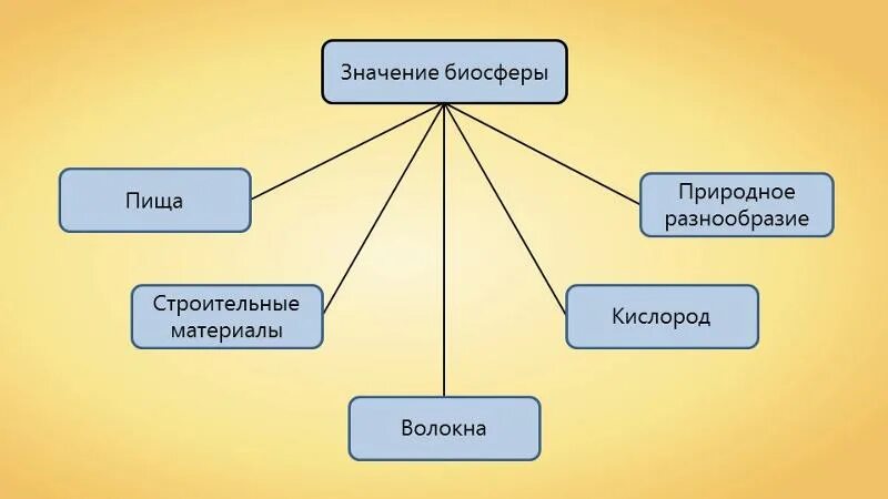 Биосфера параграф по географии 6 класс. Значение биосферы. Значение биосферы для человека. Значение биосферы 6 класс география. Значение биосферы в жизни человека.