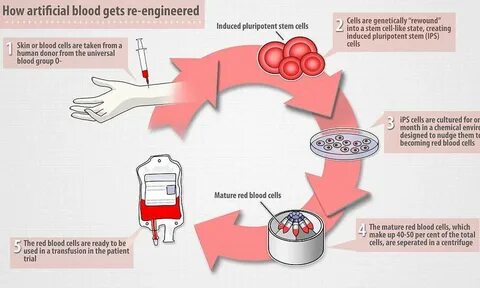 Make blood