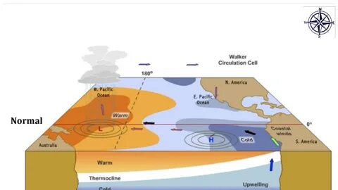 La nina
