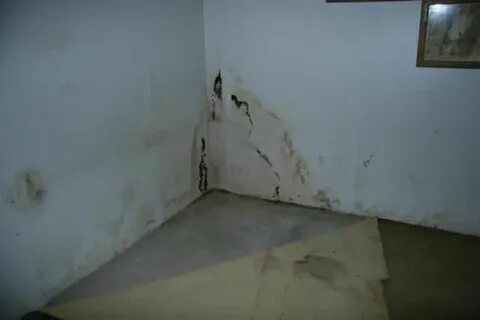 Мокнут стены
