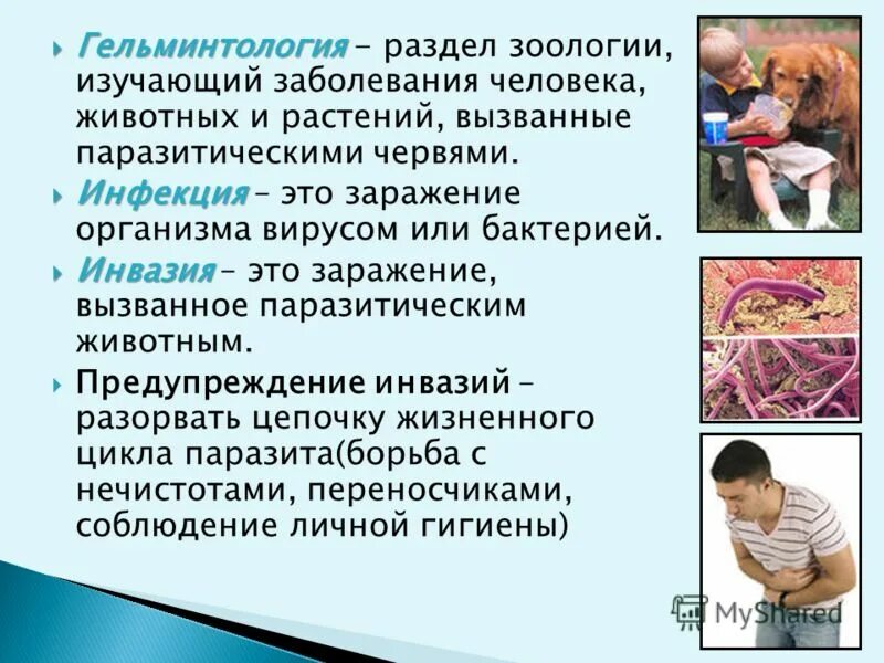 Источник инвазии больной человек