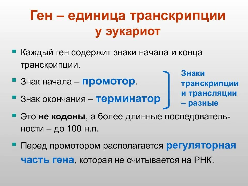 Единица транскрипции у эукариот. Транскрипция генов эукариот. Транскрипция у эукариот. Транскрипция Гена эукариот. Ген паролей