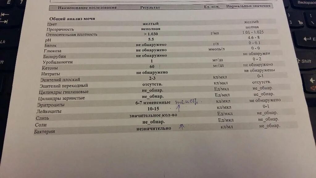 Список анализов при выпадении волос. Анализы при выпадении волос. анализ крови при выпадении волос у женщин. анализы при выпадении волос у женщин список. какие анализы сдать при выпадении волос.