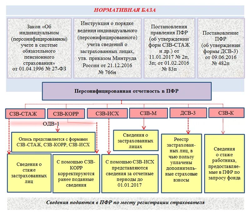 Единая форма сведений для ведения индивидуального. Персонифицированный учет отчетность в ПФР. Форма отчета в пенсионный фонд. Отчетность по персонифицированному учету застрахованных лиц в ПФР. Отчет СЗВ стаж.