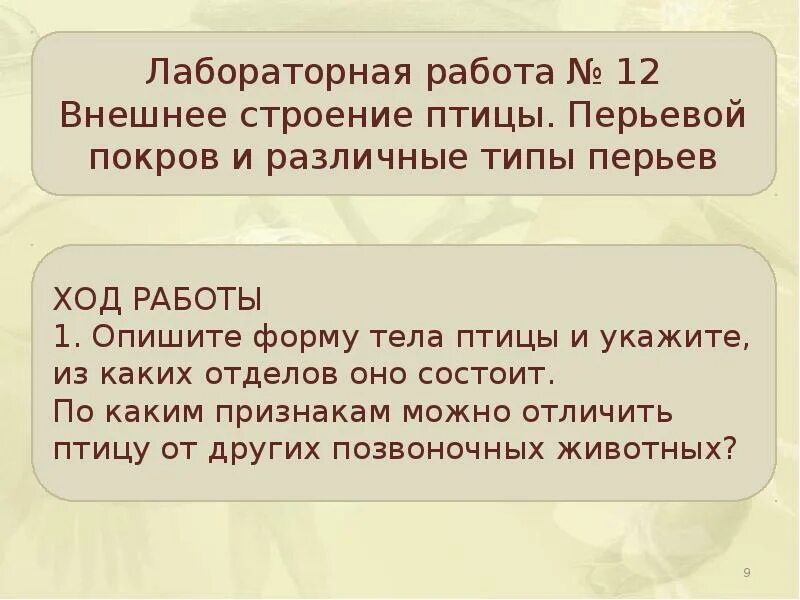 Внешнее строение и перьевой Покров птиц лабораторная работа.