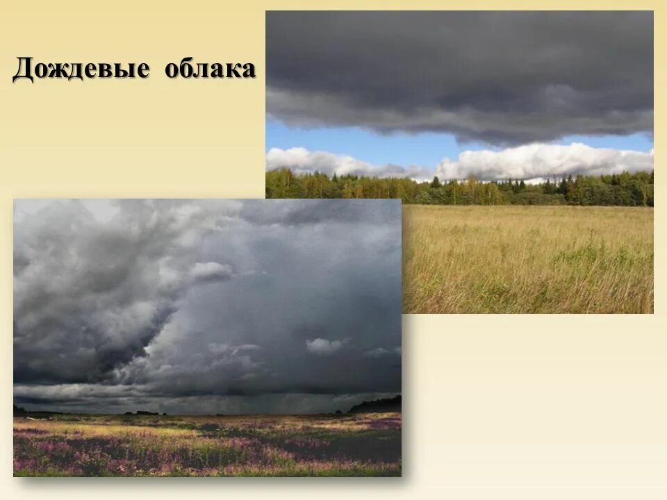 Что такое туча 1 класс окружающий мир. Дождевые облака. дождевые облака облака. ливневая туча. дождевые облака доклад.