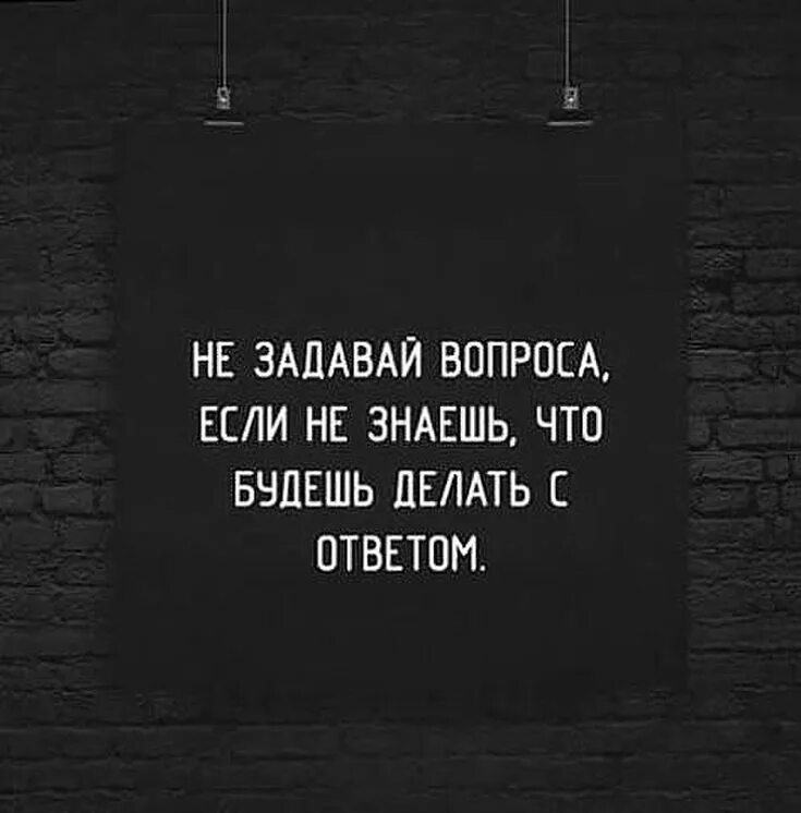 Выражение вопроса. Цитаты про вопросы. Ответ на цитату. Афоризмы про вопросы. Цитаты про вопросы и ответы.