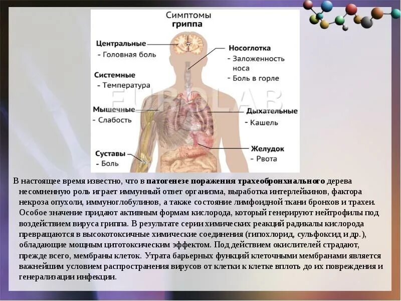 Презентация на тему грипп парагрипп. Парагрипп у детей презентация. Грипп и парагрипп отличия. Патогенез гриппа и парагриппа.