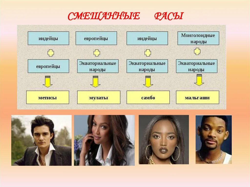 Смешанная раса монголоидной и негроидной. Метисы Мулаты самбо мальгаши. Расы людей. Смешанные расы. Разделение на расы.
