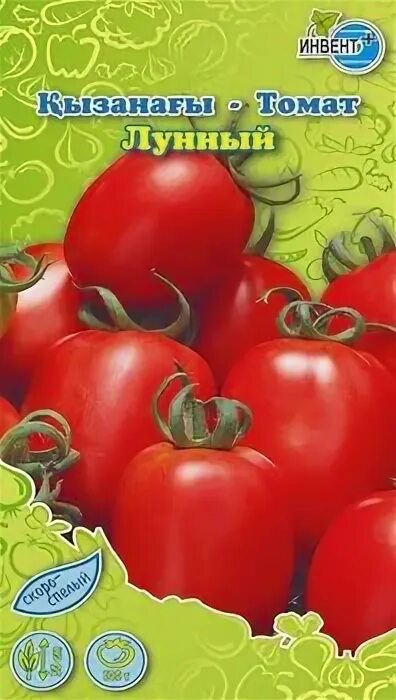 лунный для помидор. самые урожайные помидоры. томат золотая бусинка f1. томат лунная дорожка. урожай помидоров.