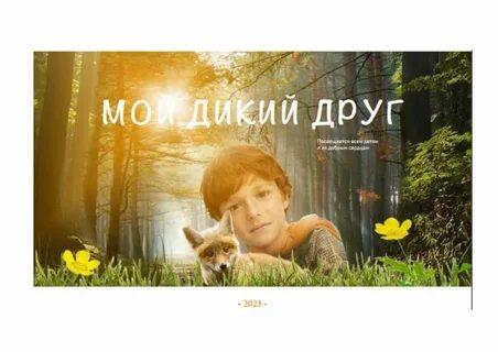 Мой дикий друг где