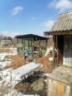 Погода в сиреневке на 5 дней
