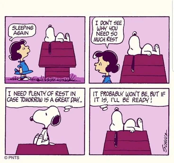 Need to rest. Snoopy комикс. More rest need фирма. More we need more перевод. I need a rest.