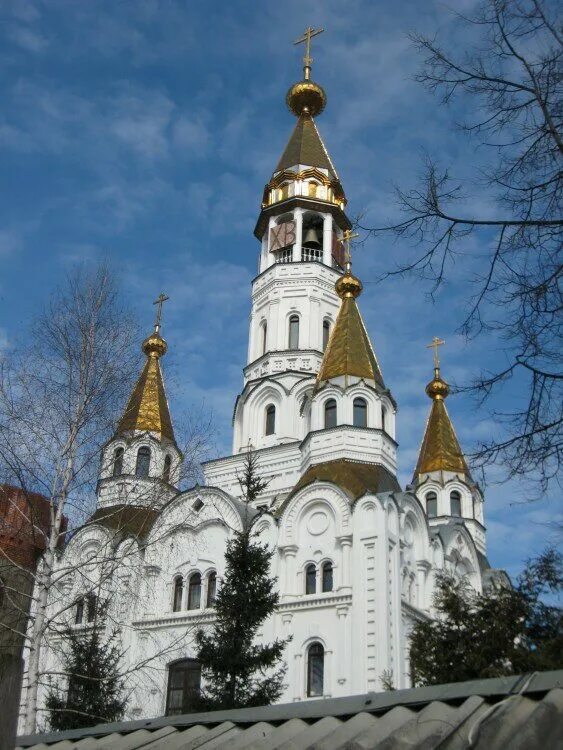 Богородицы церкви в московской области. Церковь Боголюбской иконы Божией матери. Боголюбский храм Пушкино. Боголюбская Церковь город Пушкино. Церковь храм Пушкино Московская область.