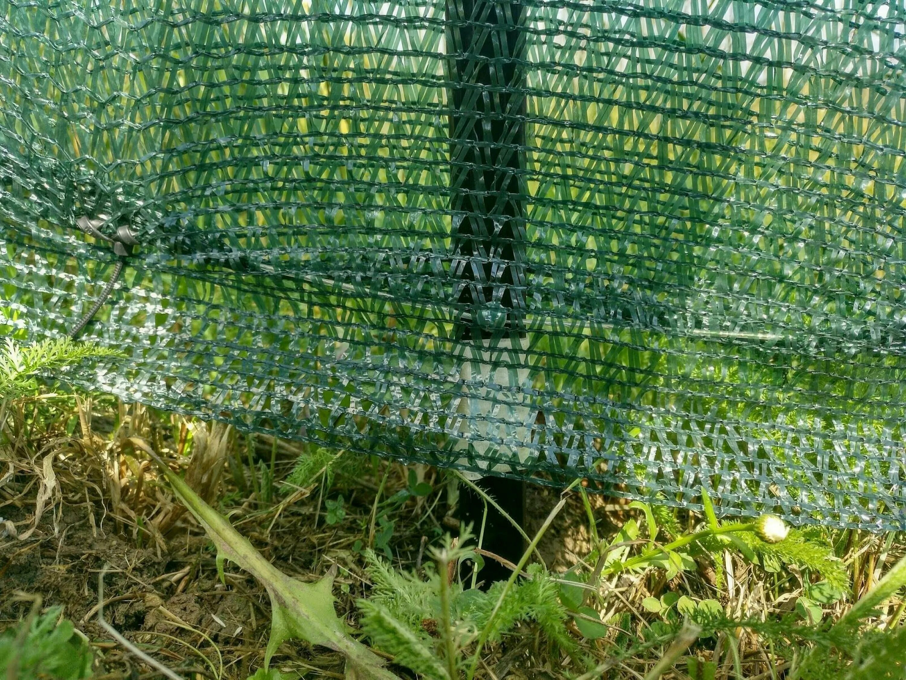 Сетка затеняющая фасадная 80г/м2. Крепеж для фасадной сетки. Крепеж для фасадной сетки. Сетка фасадная. Система штукатурного фасада.